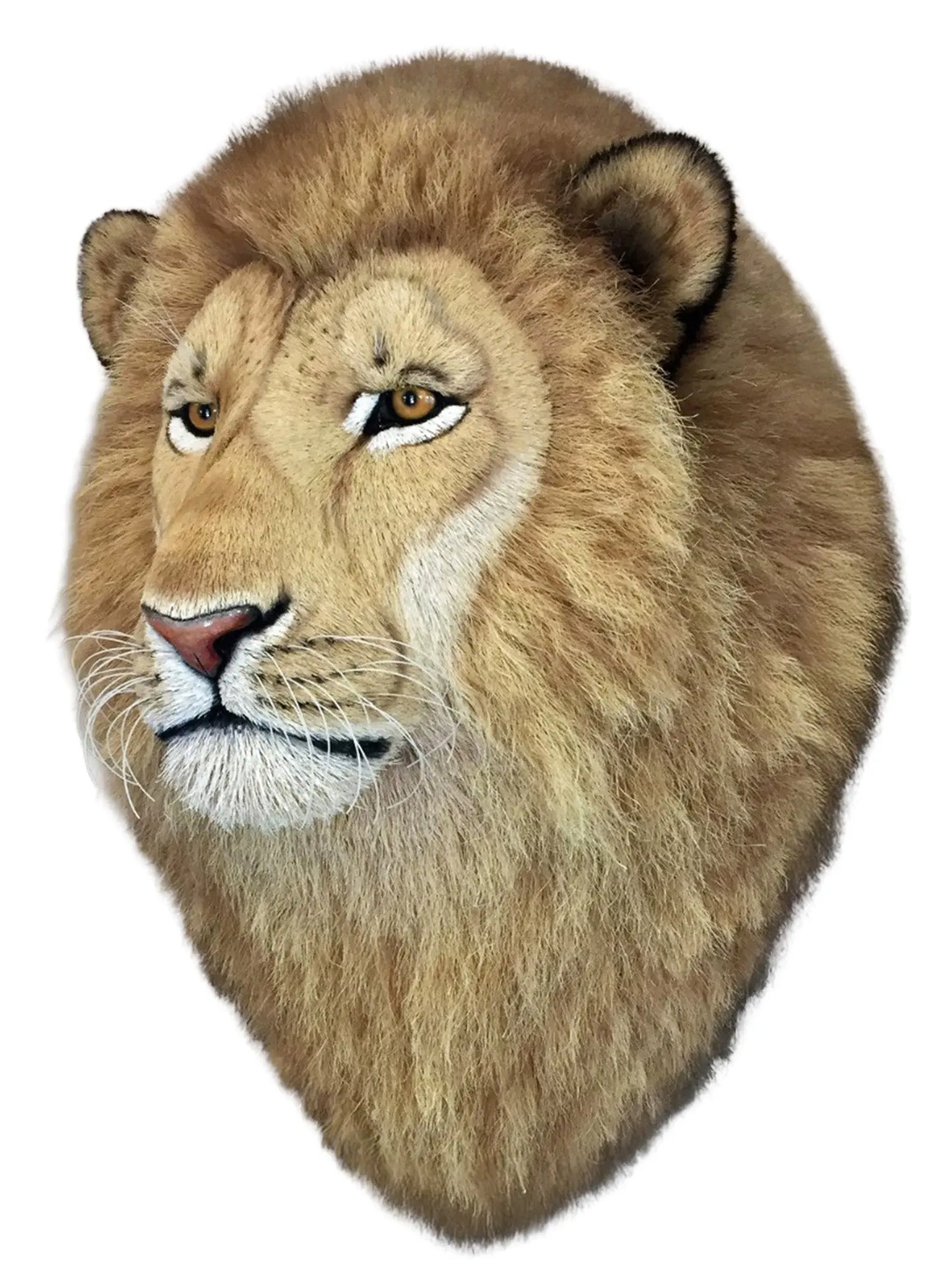 Natural Lion Head