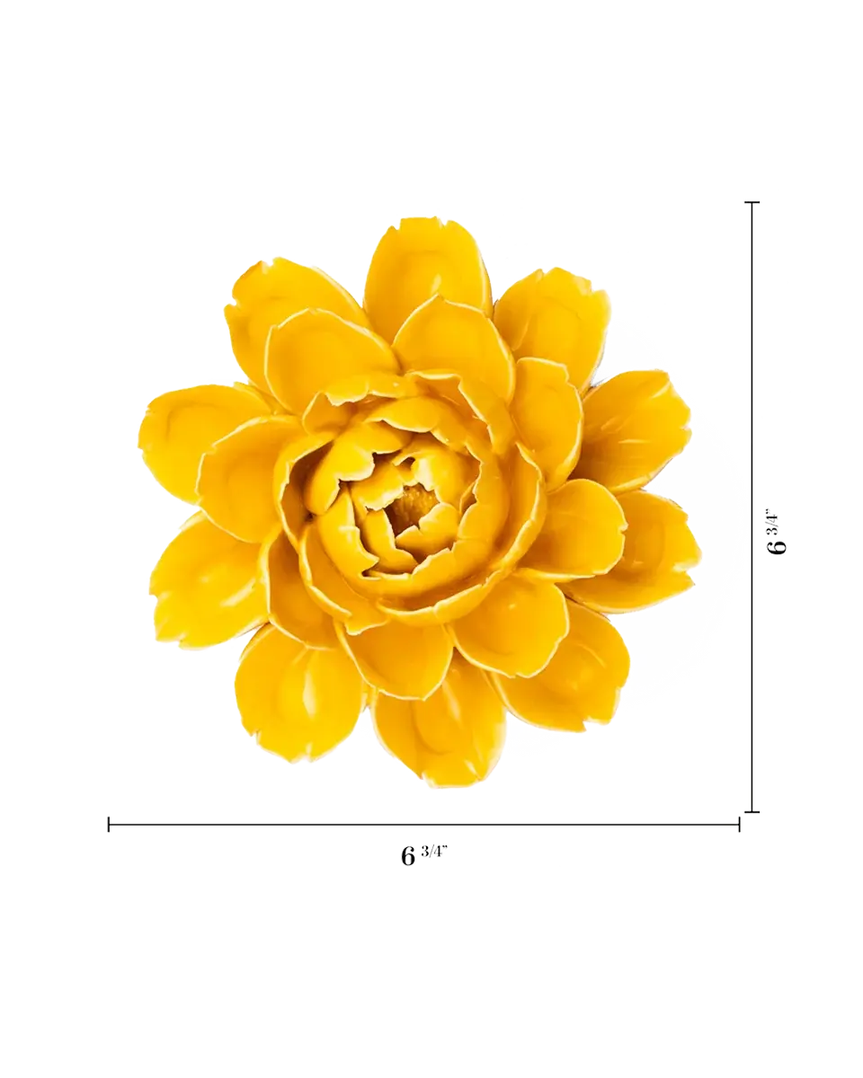 Burnt Yellow Empire Cabbage Flower
