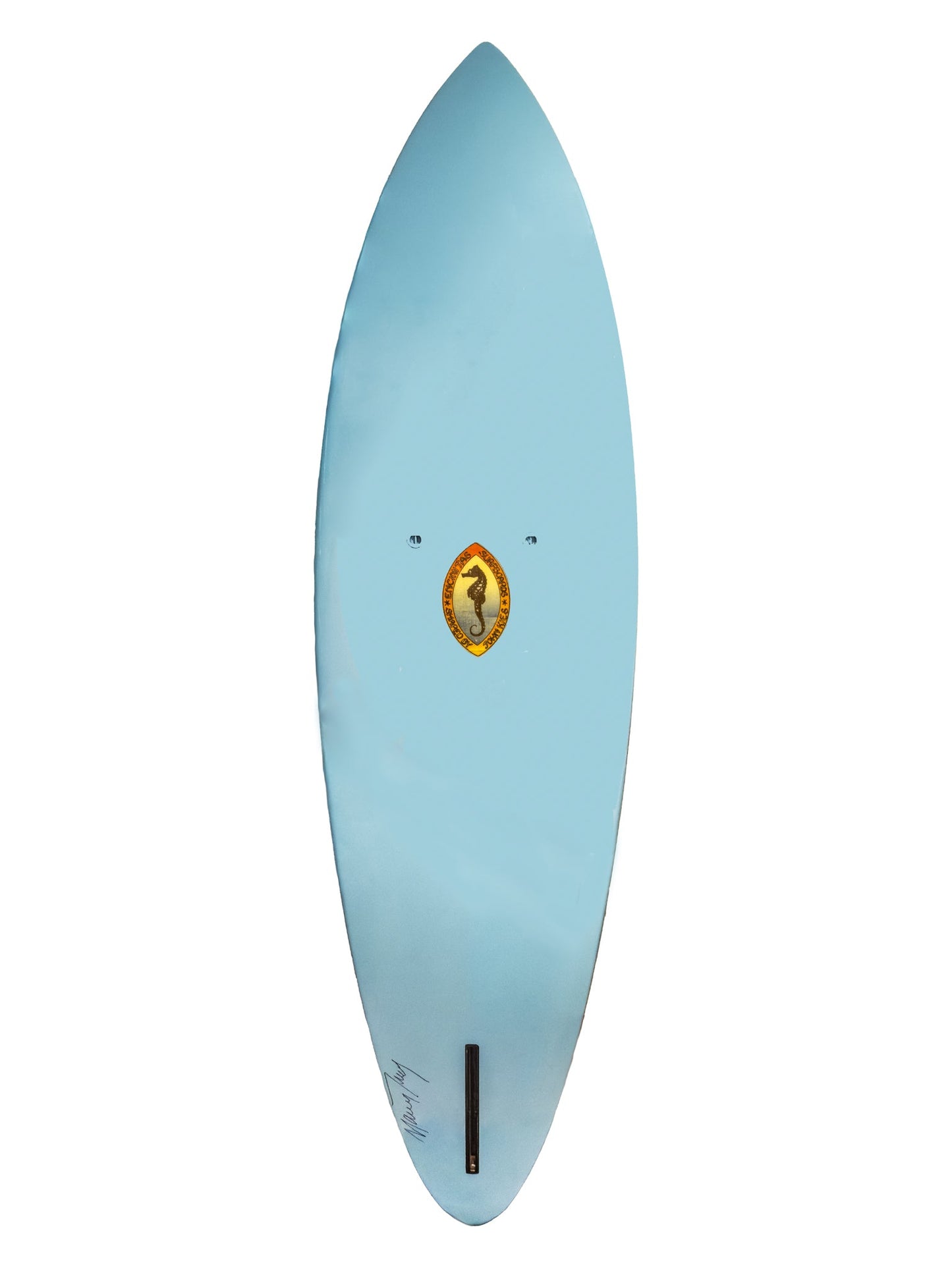 Mother Mary Surfboard Maureen Twohig