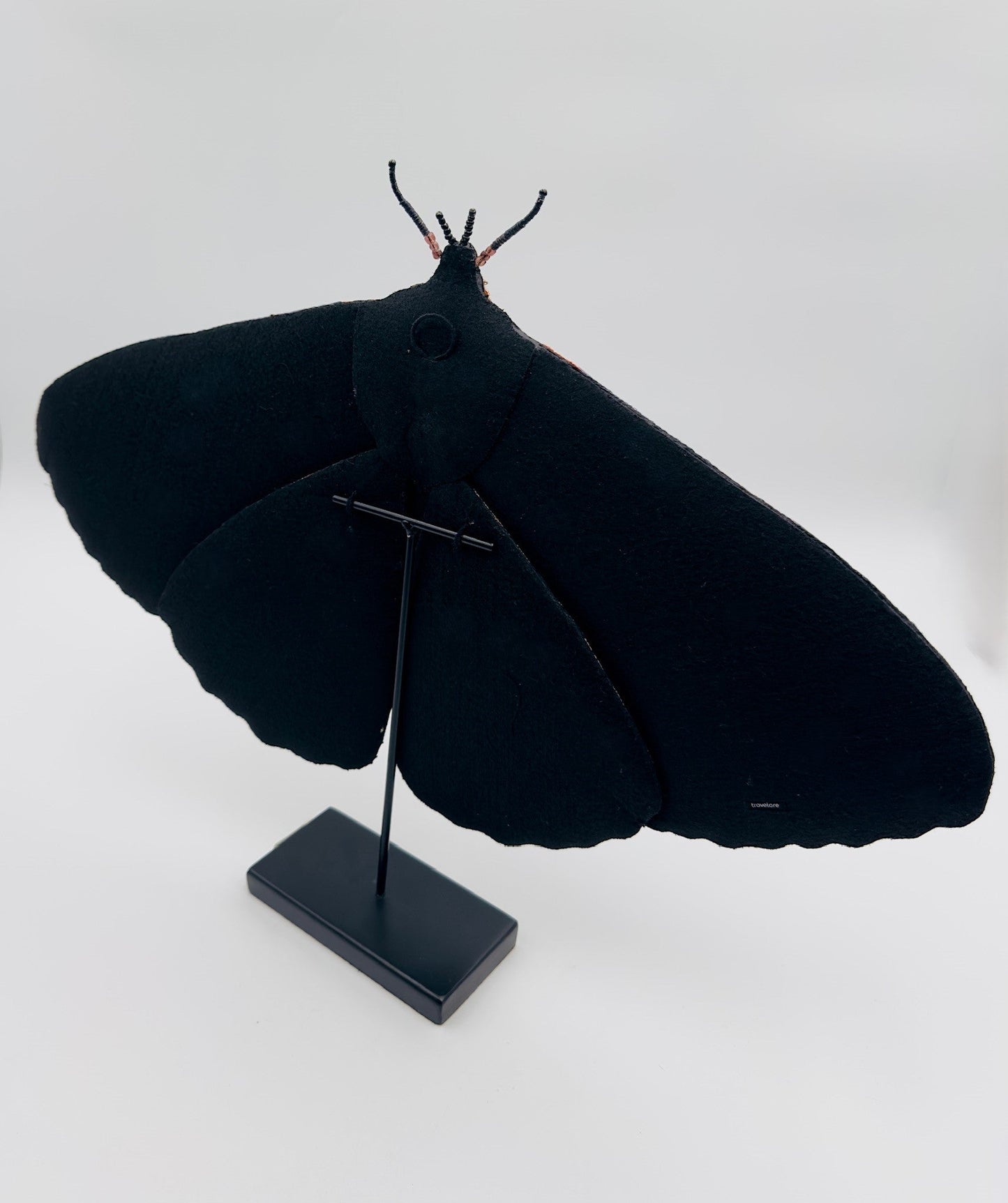 Giant Silk Moth Trovelore