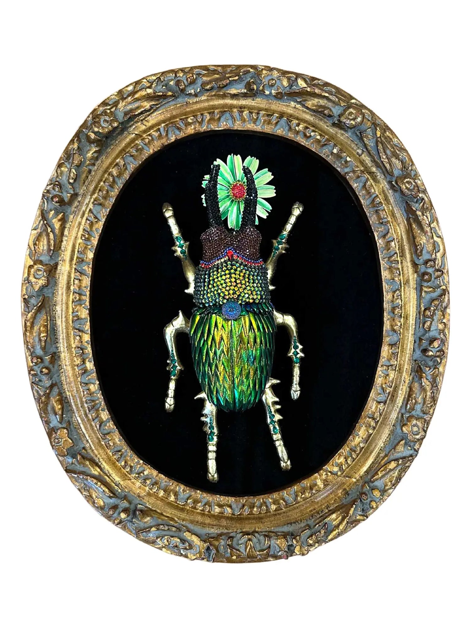Framed Beetlewing Beetle