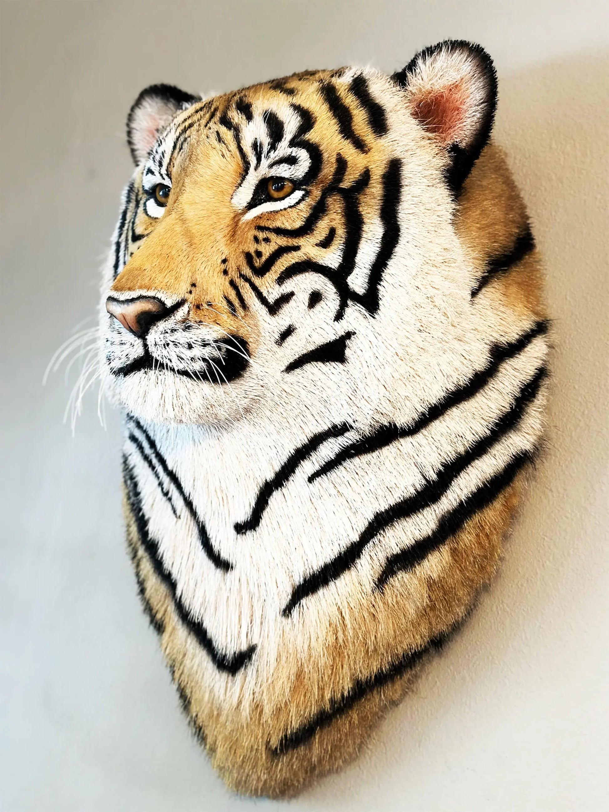 Tiger Head