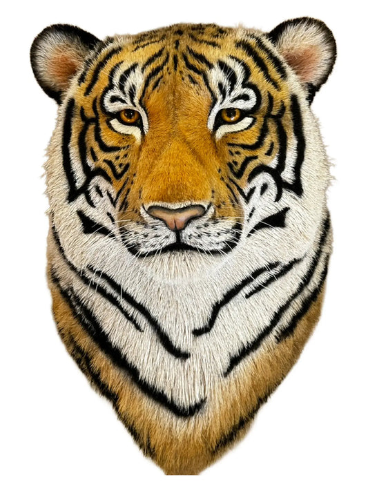 Tiger Head
