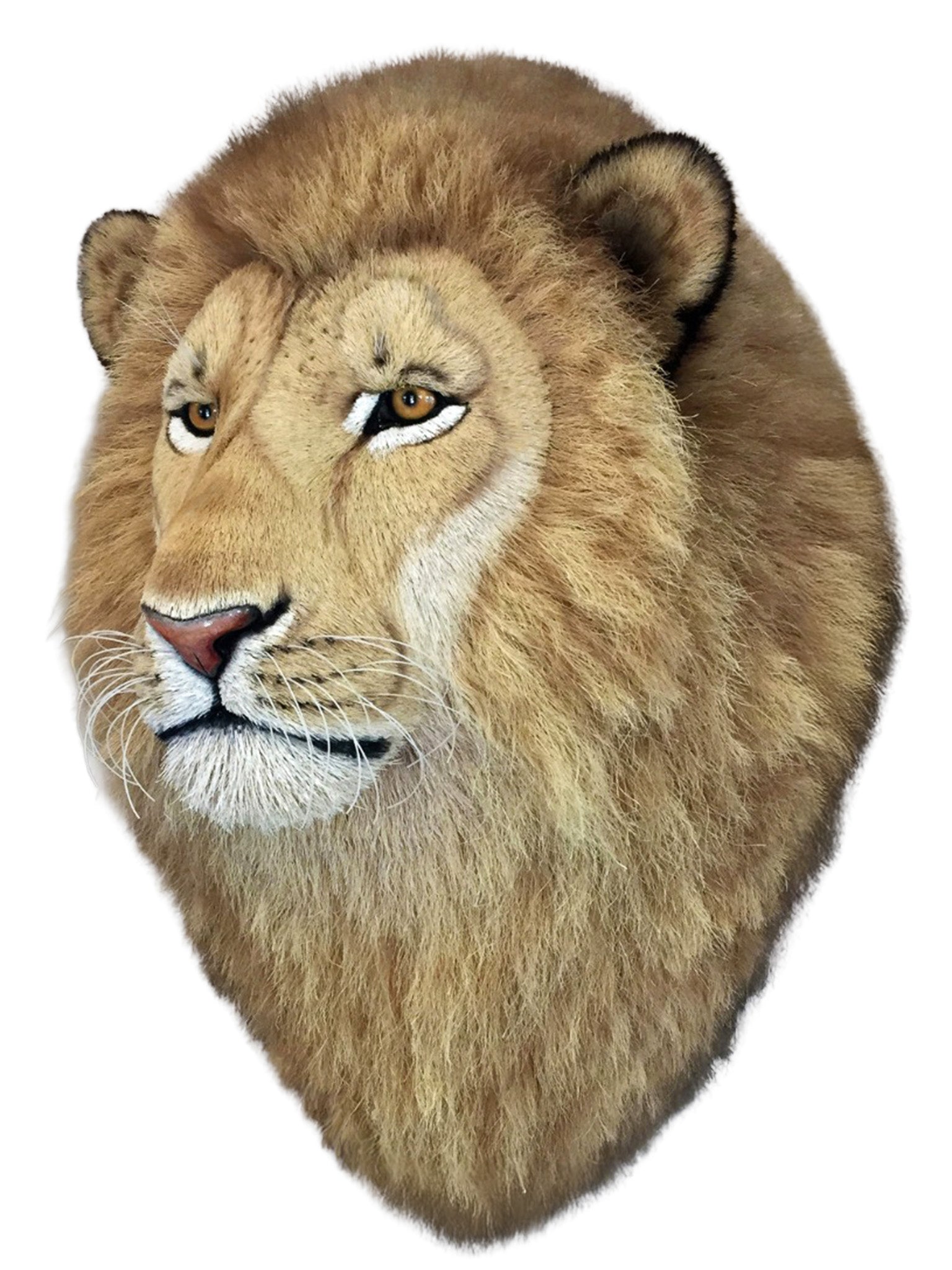 Natural Lion Head