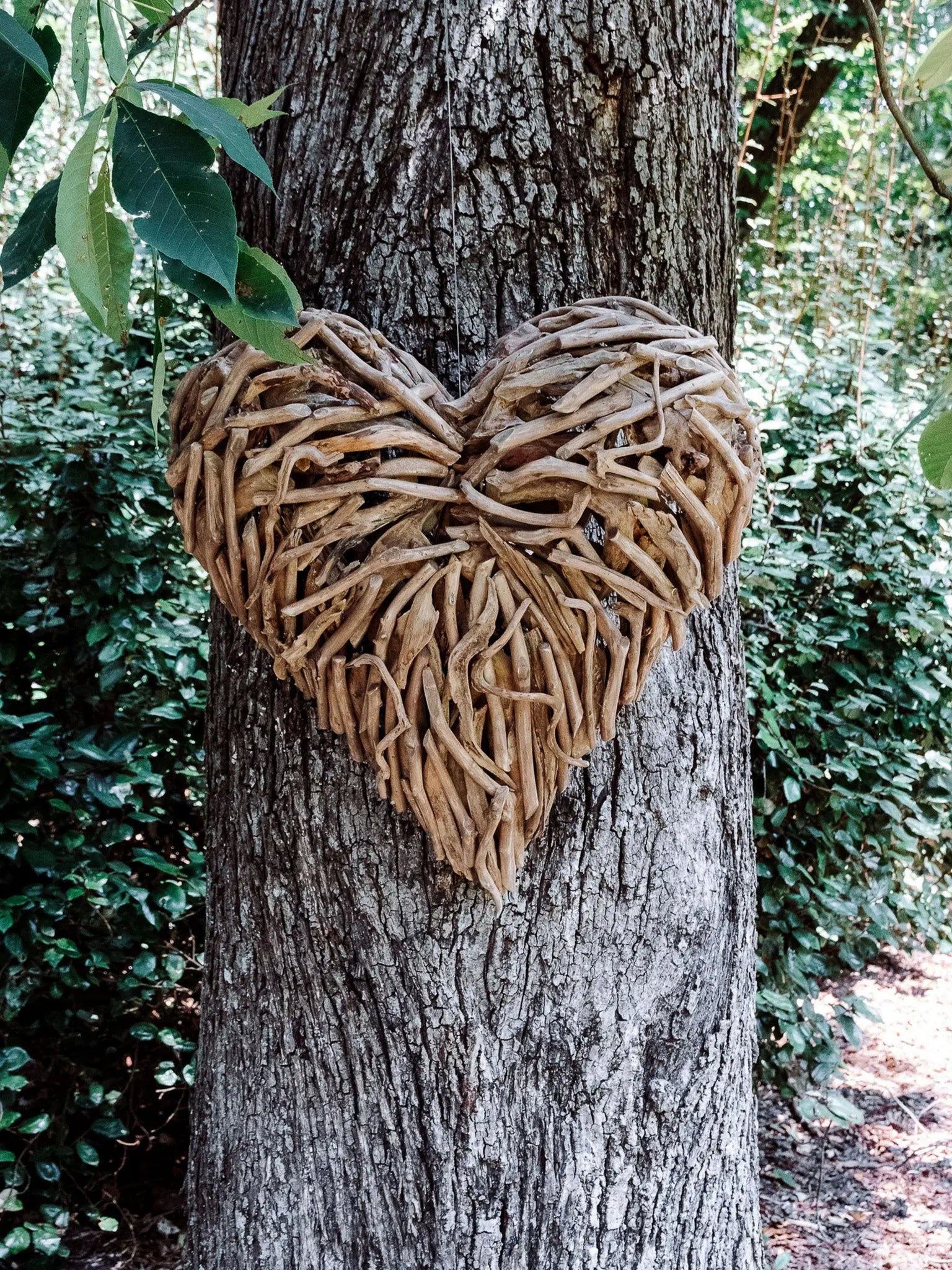 Driftwood Heart - Large