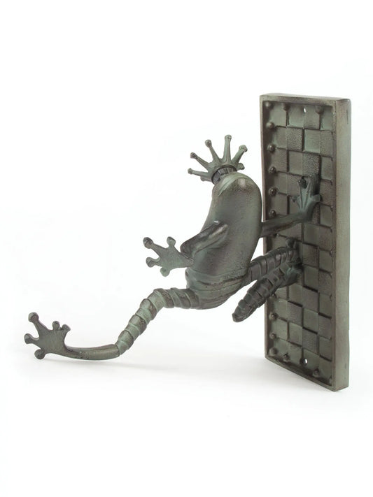 Frog Plant Hanger