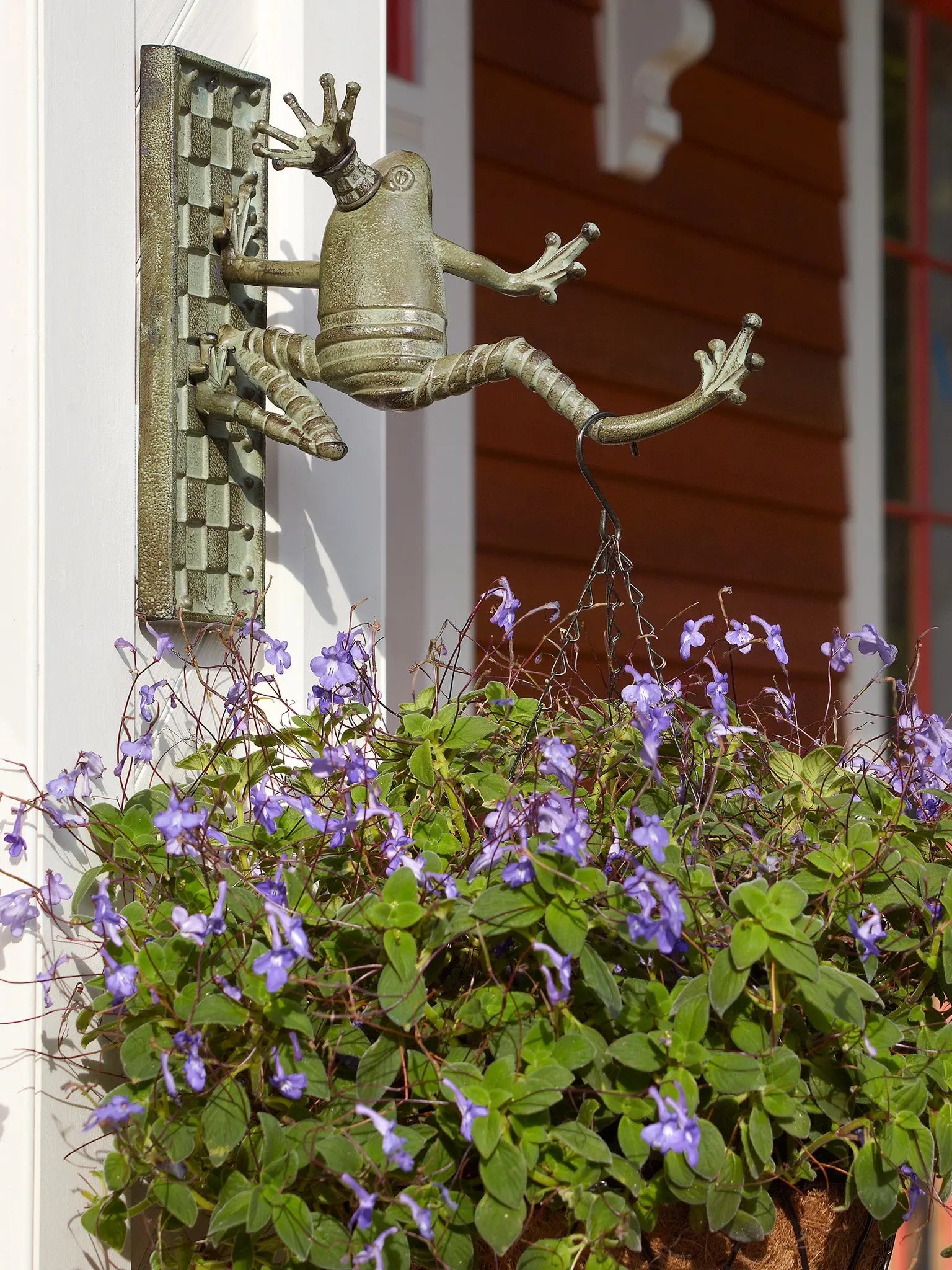 Frog Plant Hanger