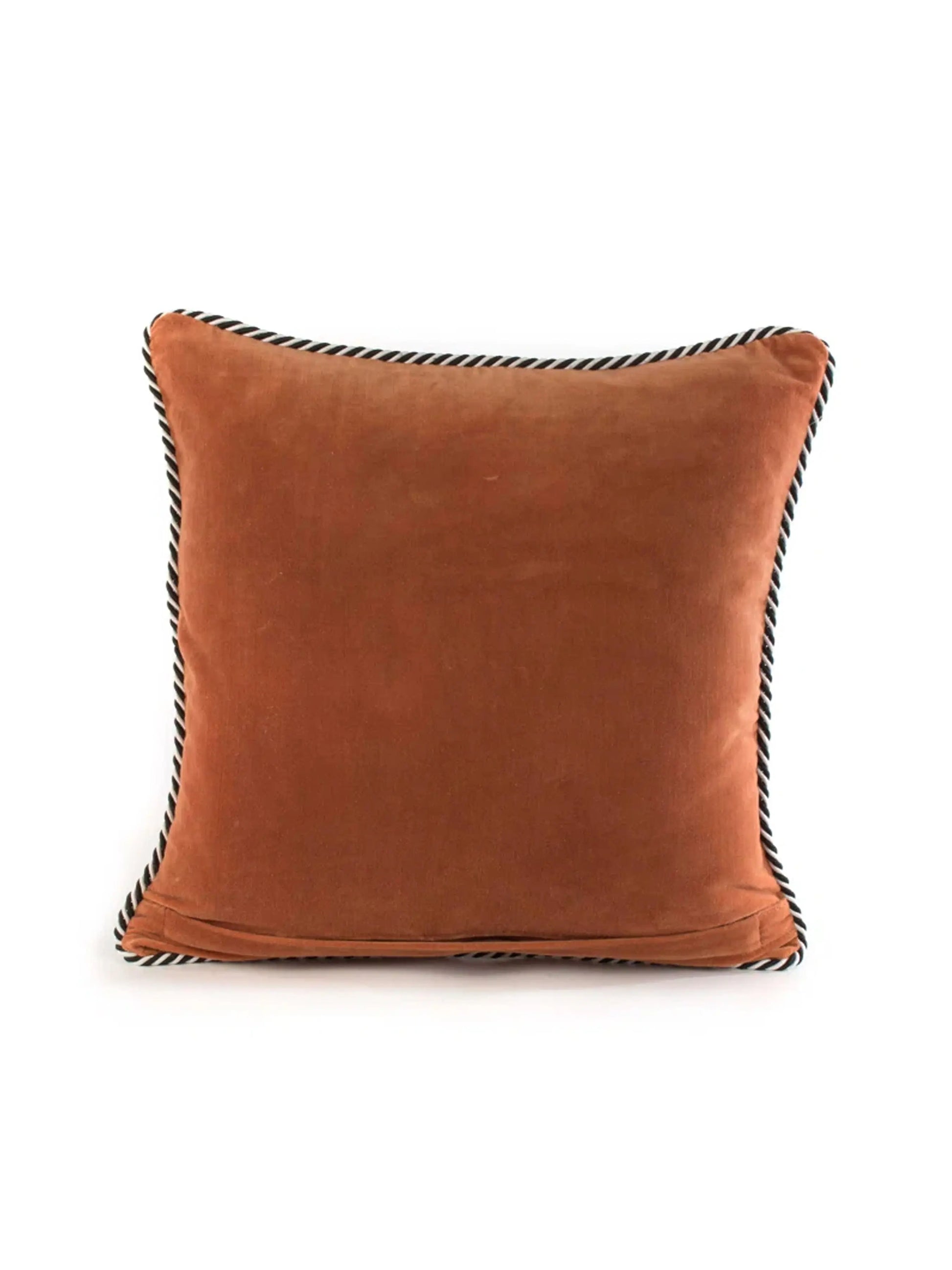 Pablo Picatsso Throw Pillow