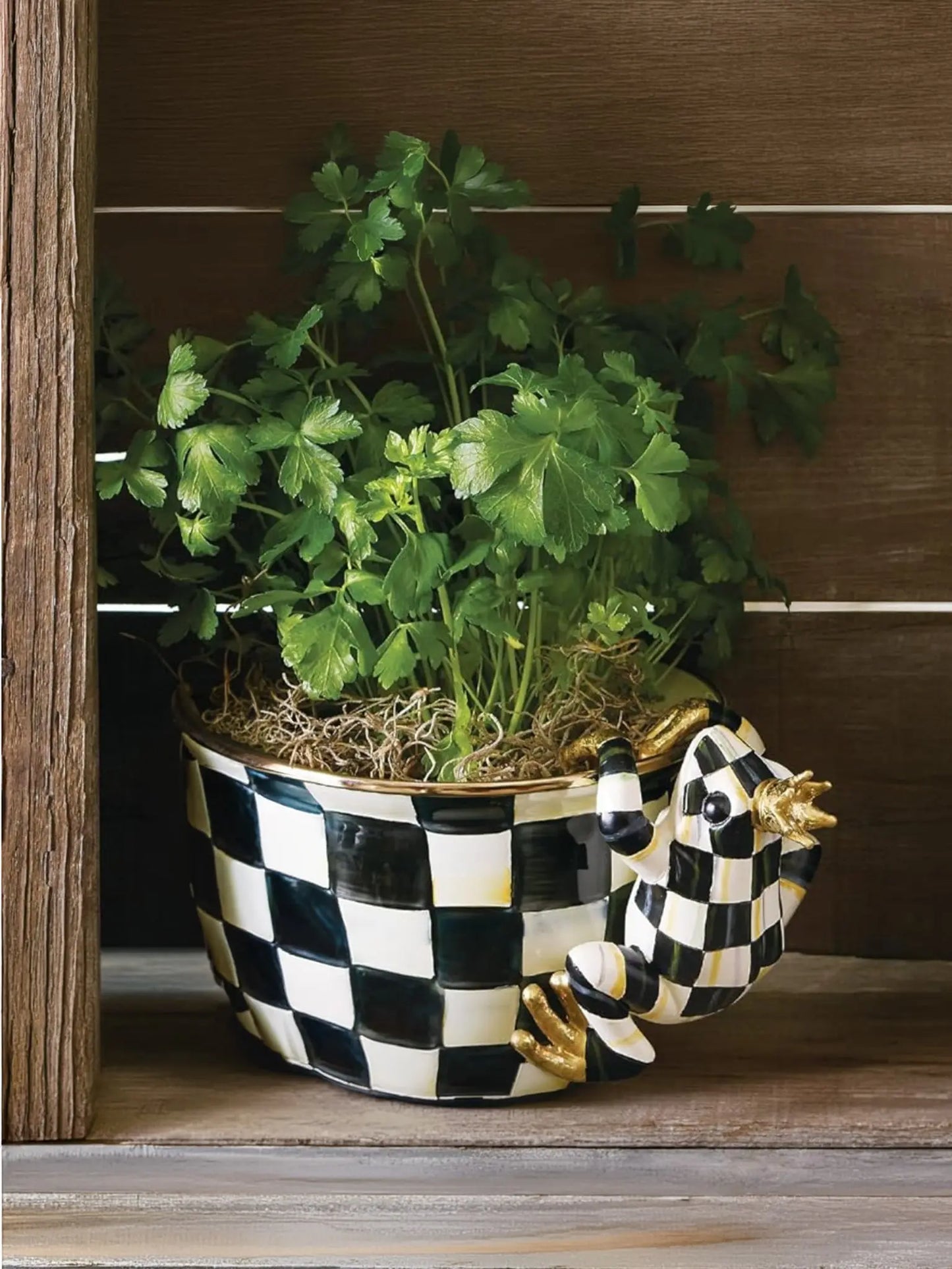 Pot Croaker Pot Climber