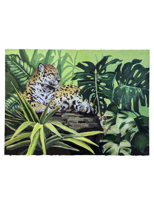 Jaguar Resting III