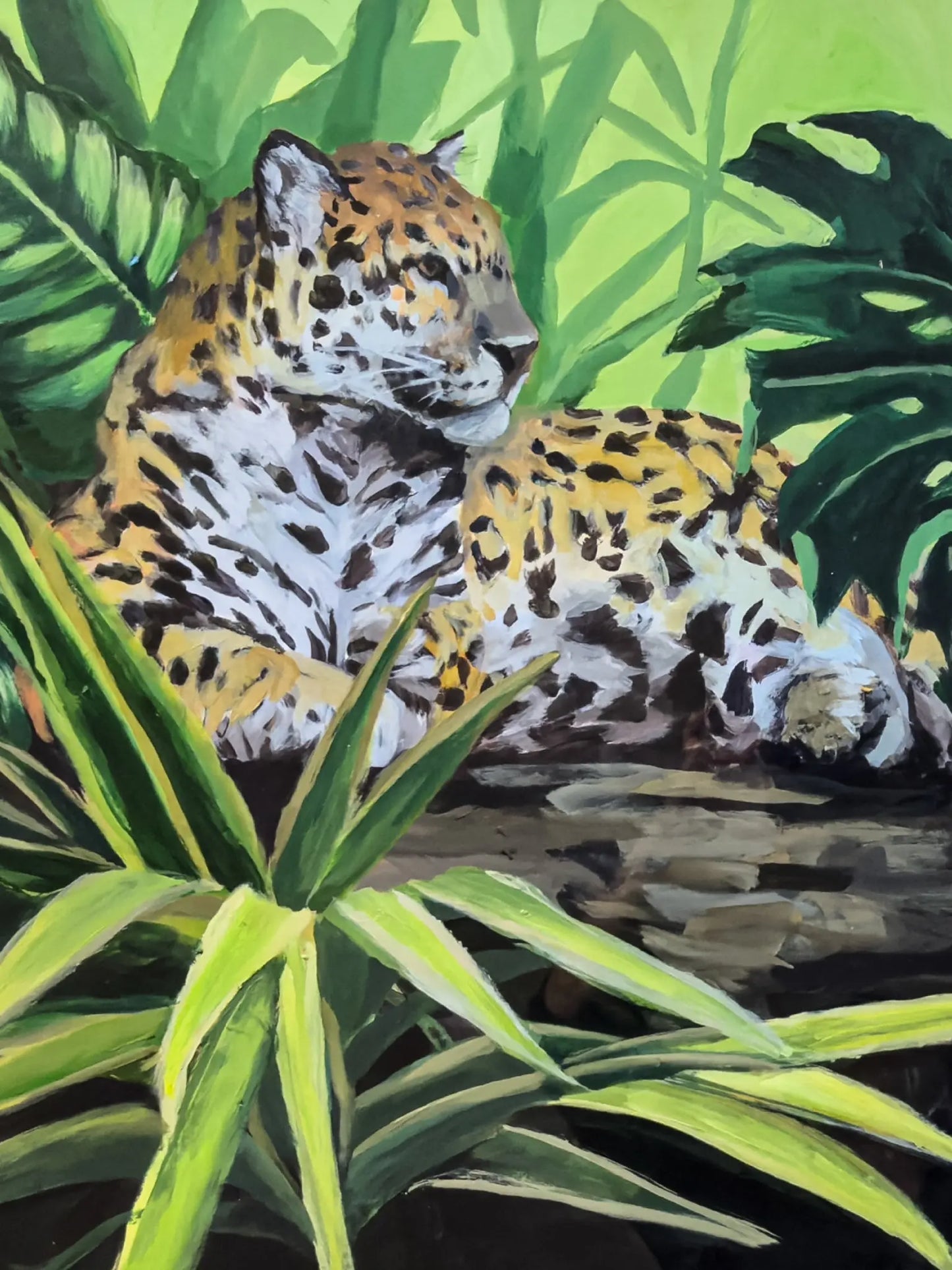 Jaguar Resting III