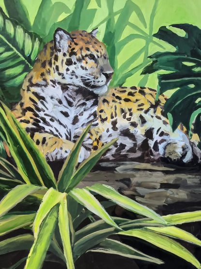 Jaguar Resting III