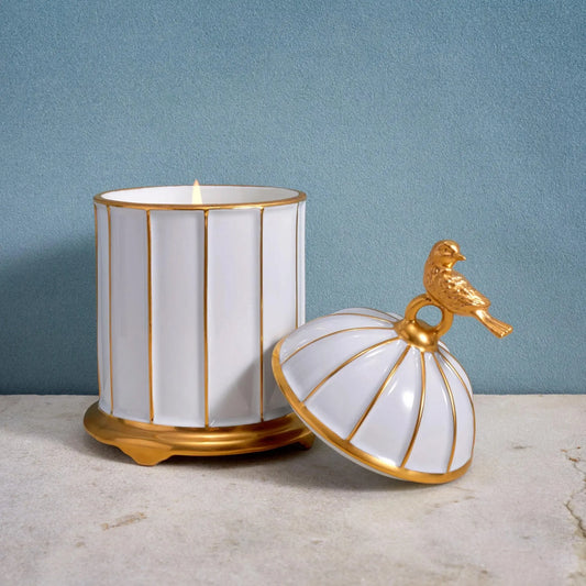 ArtsiPhartsi Birdcage Candle Candles & Accessories
