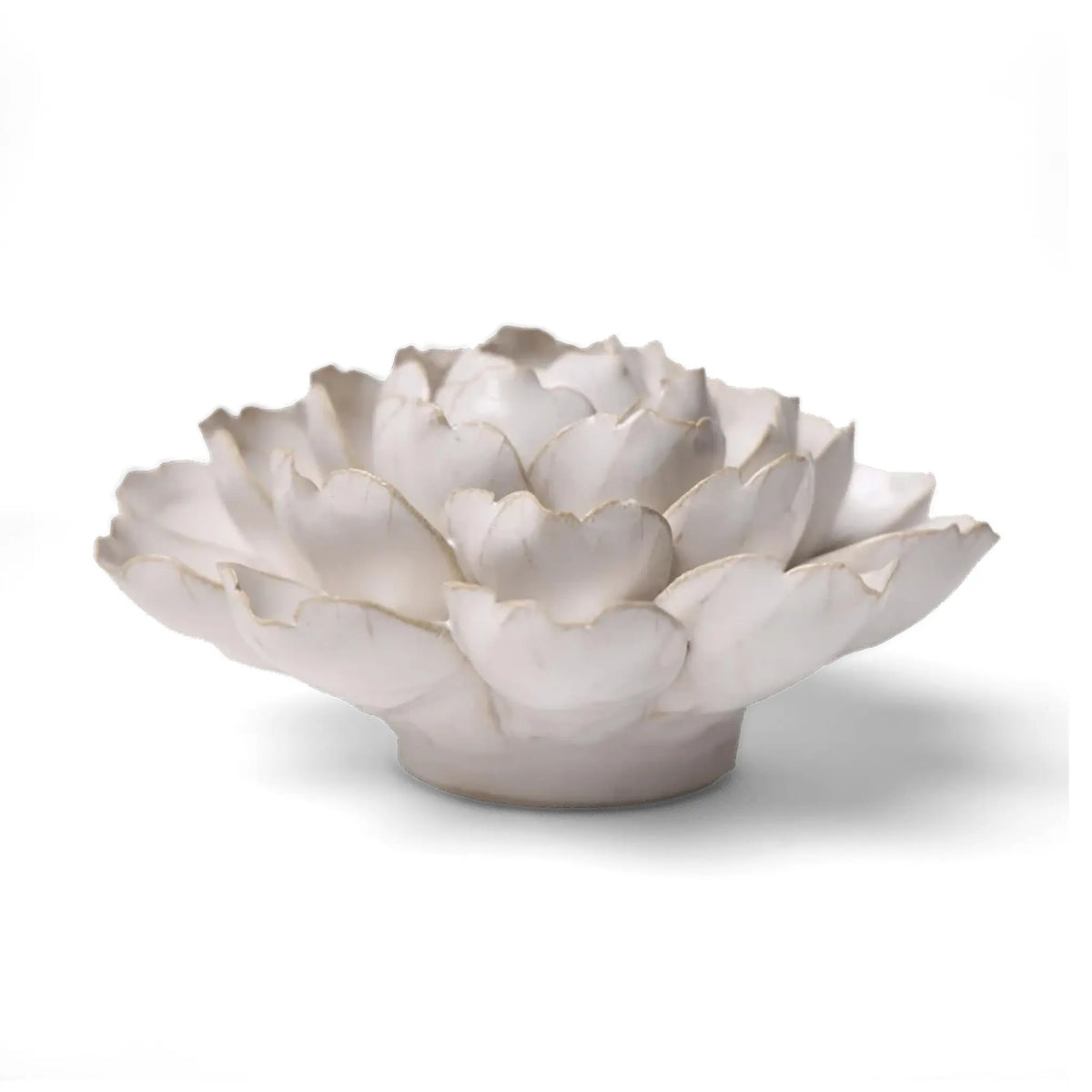 Ivory Empire Cabbage Flower