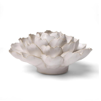 Ivory Empire Cabbage Flower