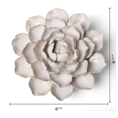 Ivory Empire Cabbage Flower