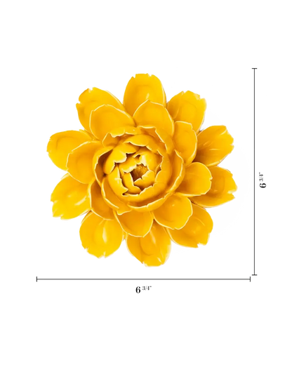 Burnt Yellow Empire Cabbage Flower