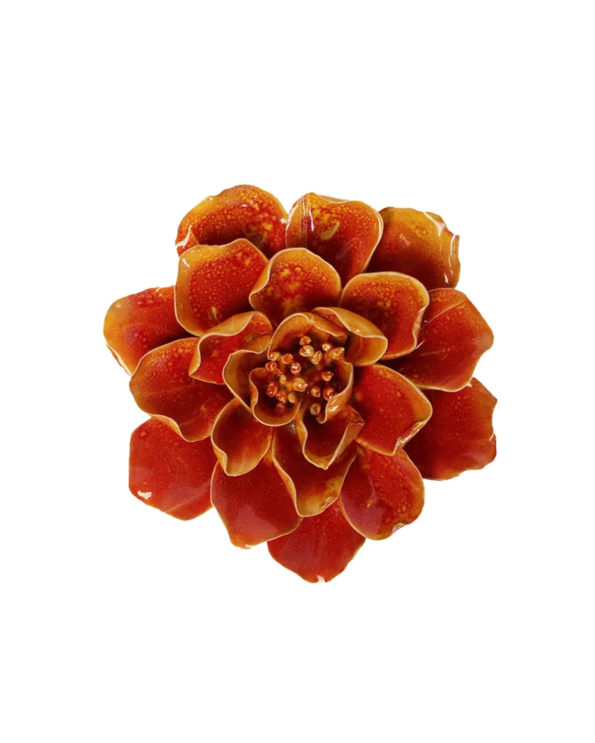 Orange Yellow Coreopsis Flower