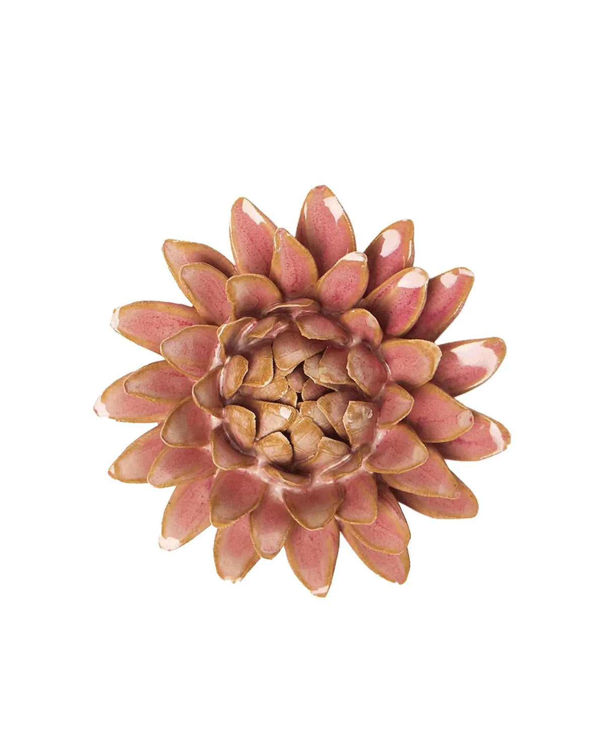 Rose Quartz Pink Strawflower