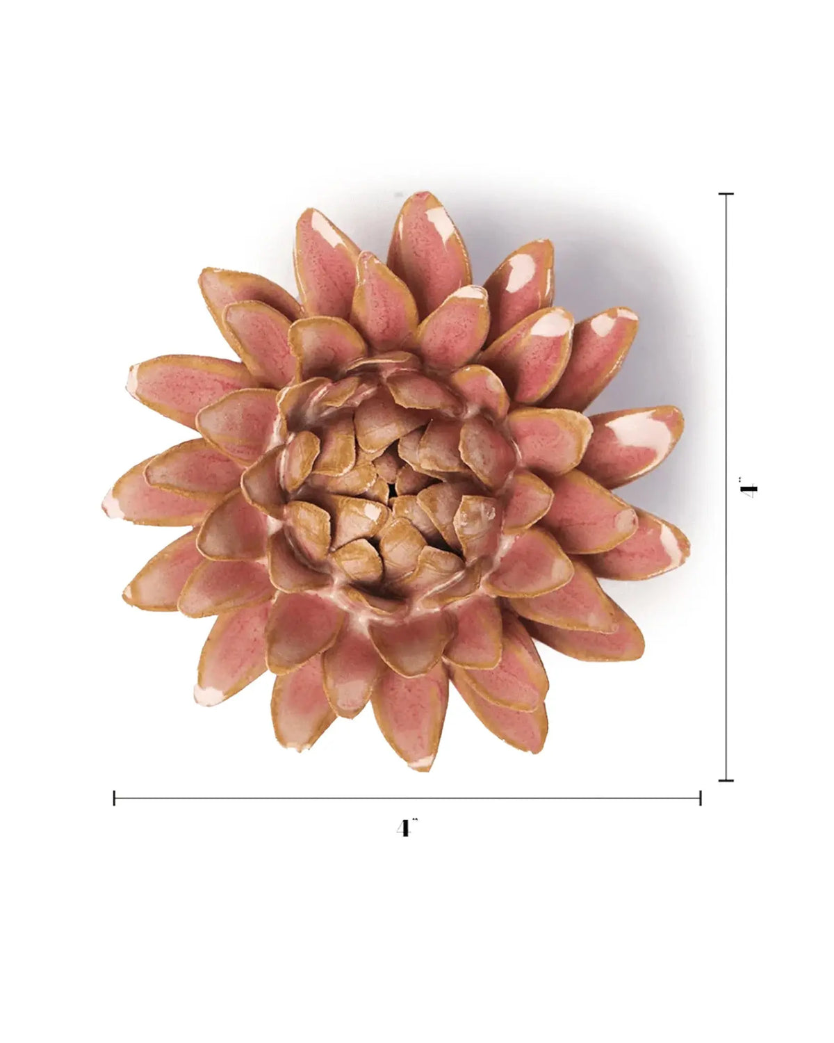 Rose Quartz Pink Strawflower