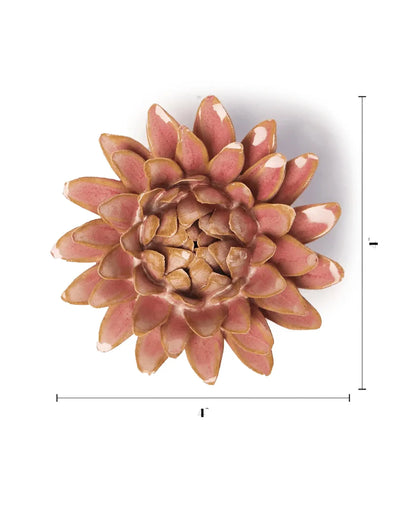Rose Quartz Pink Strawflower