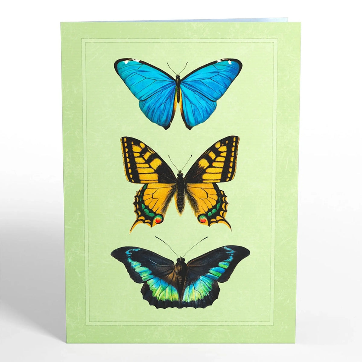 Butterflies in Flight Pop-Up Card