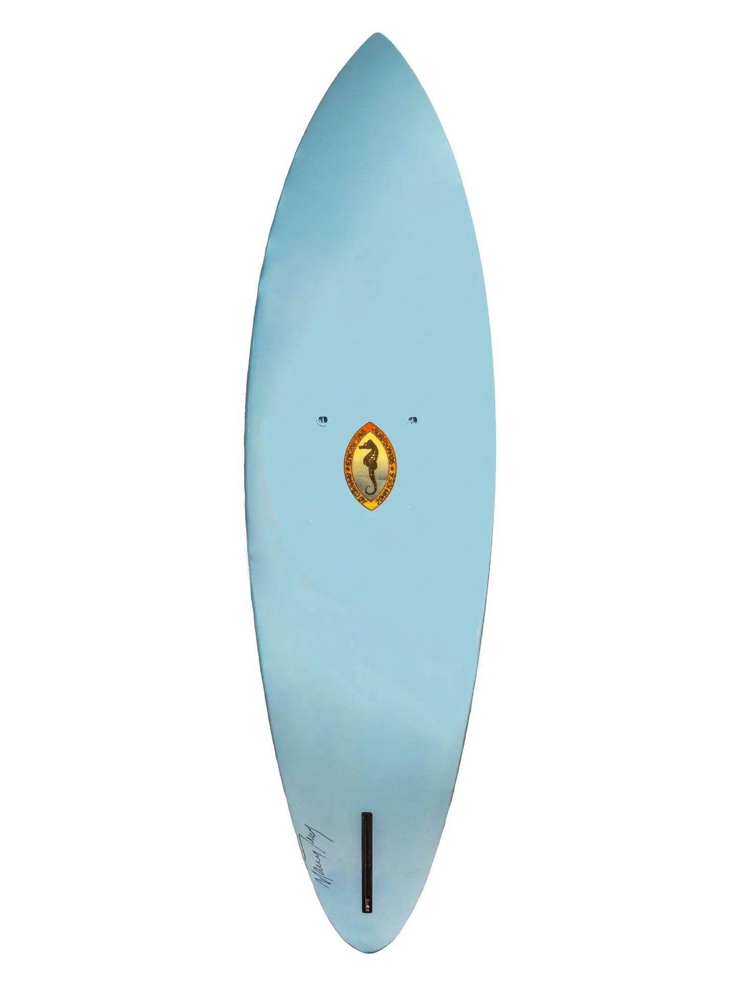Mother Mary Surfboard