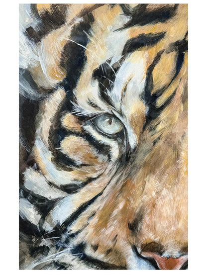 Wildcat I