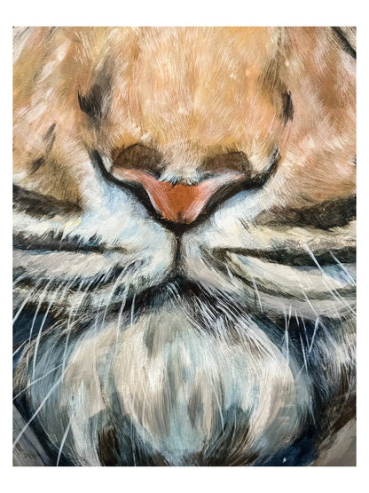 Wildcat I