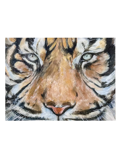 Wildcat I