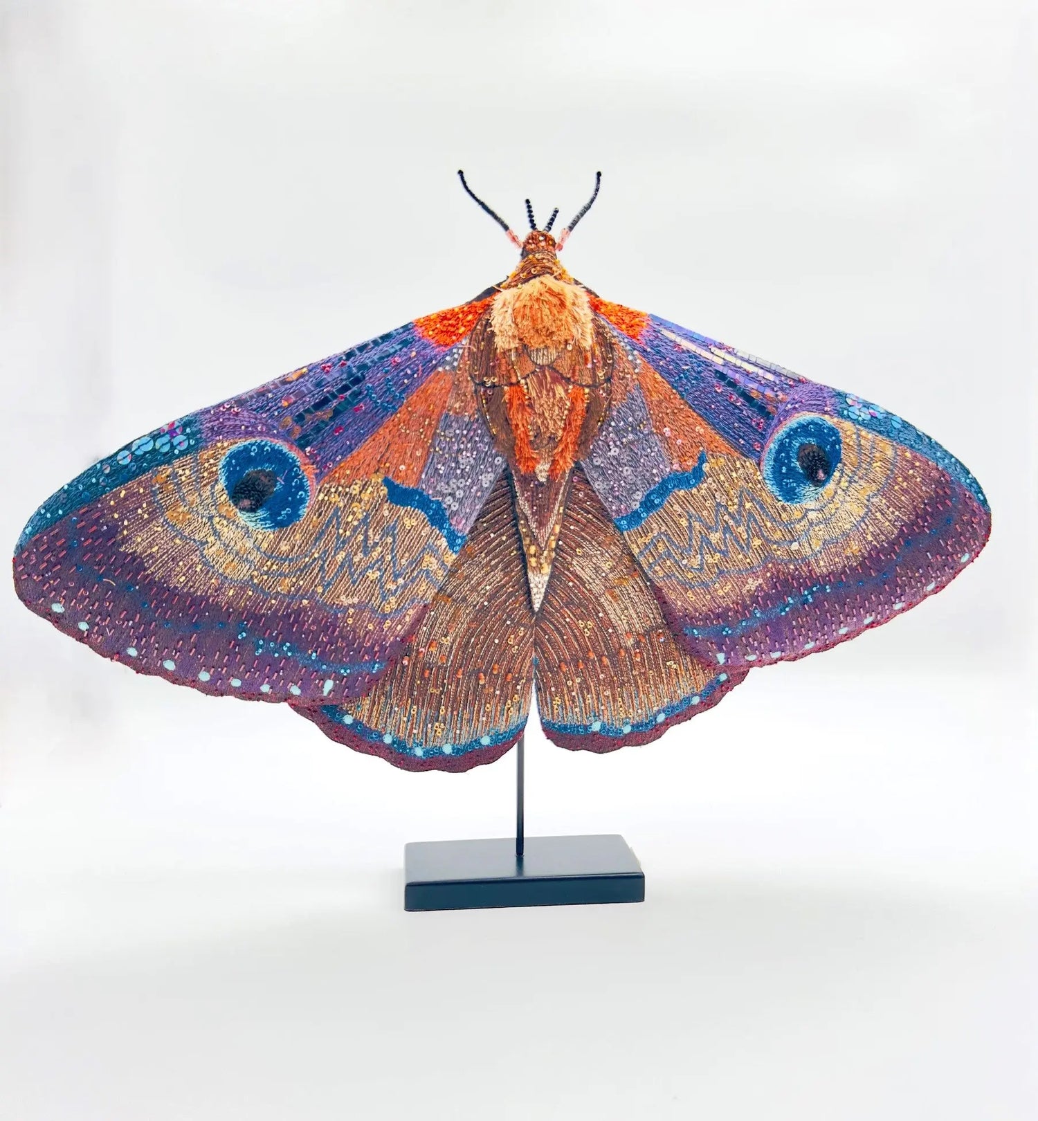 Giant Silk Moth