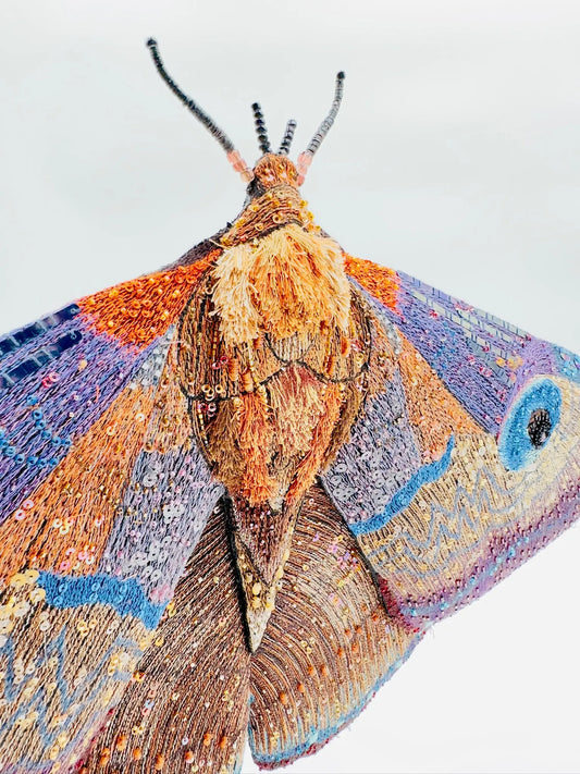 Giant Silk Moth
