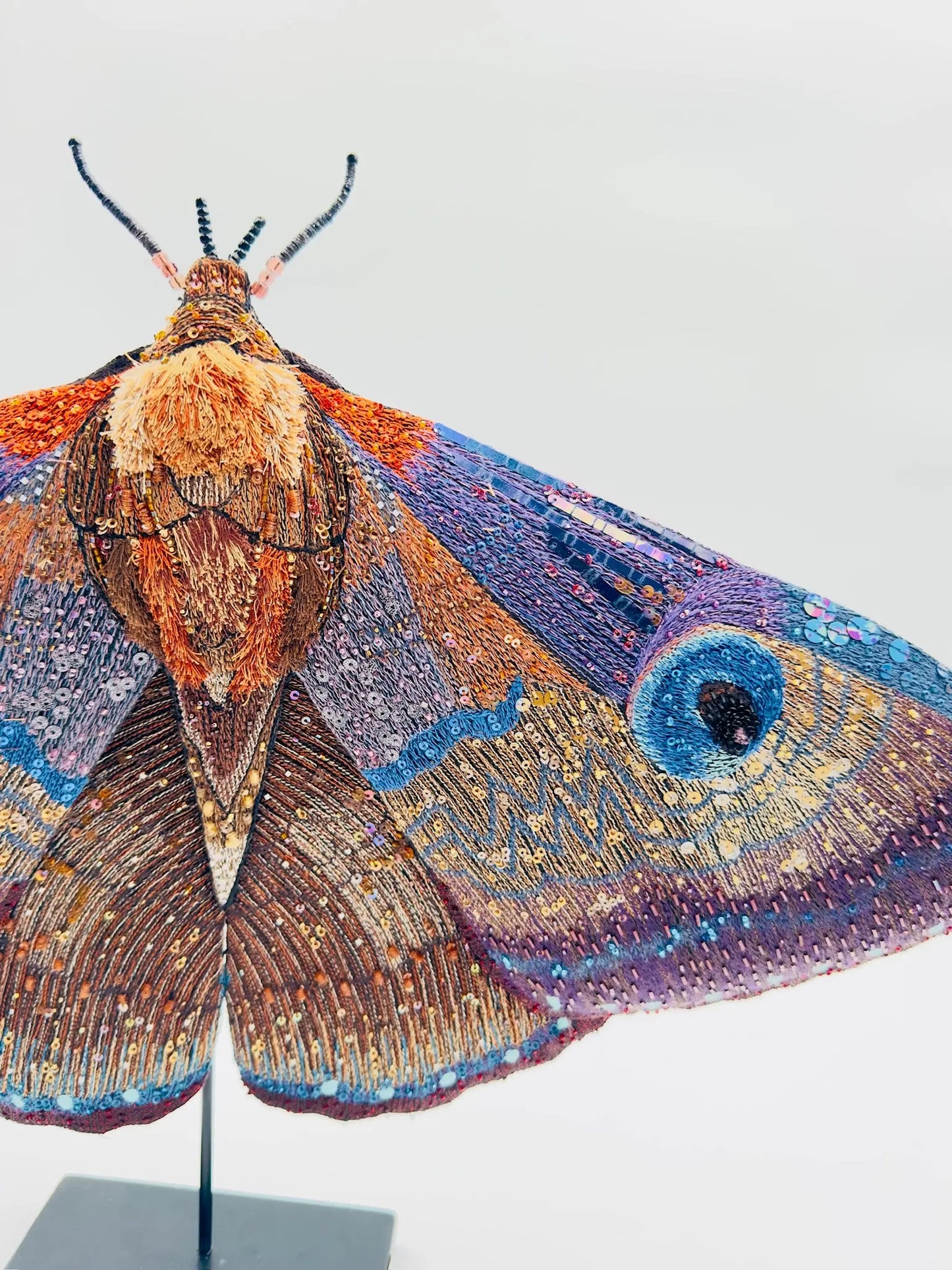 Giant Silk Moth
