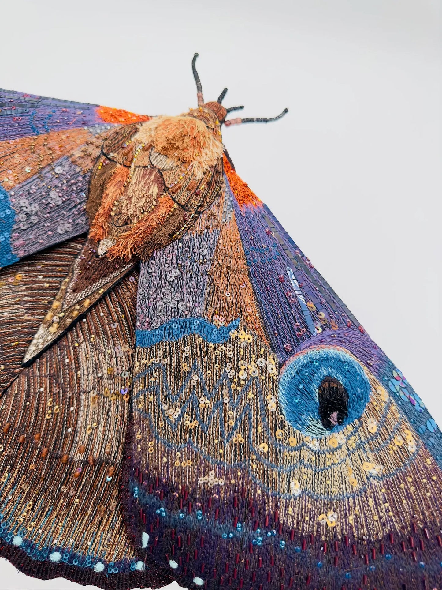Giant Silk Moth