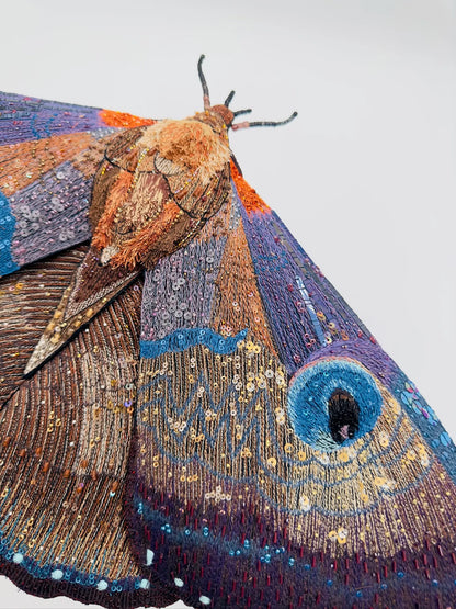 Giant Silk Moth